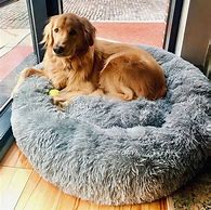 Load image into Gallery viewer, Calming Bed