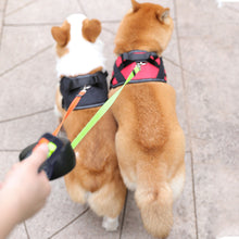 Load image into Gallery viewer, 2 Color Retractable Dual Pet Leash