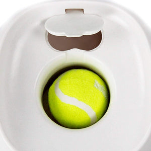 2021 New Pet Tennis Launcher